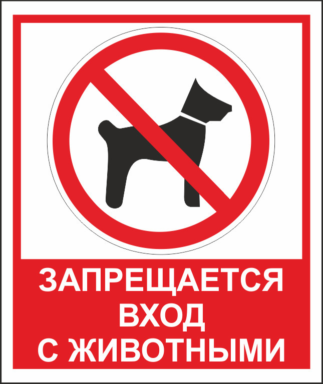 Апартаменты в новом доме