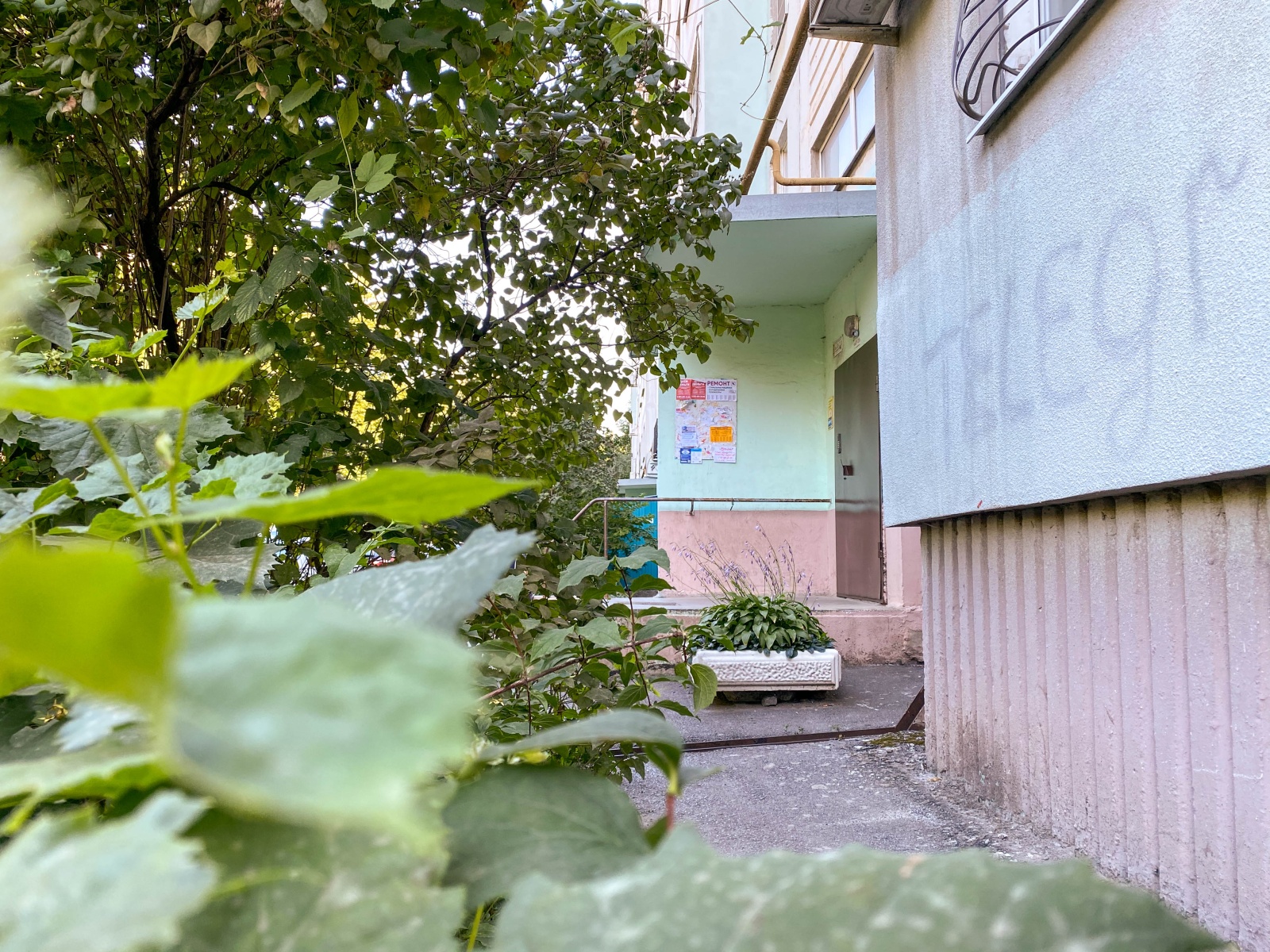 Уютная квартира на Жмайлова