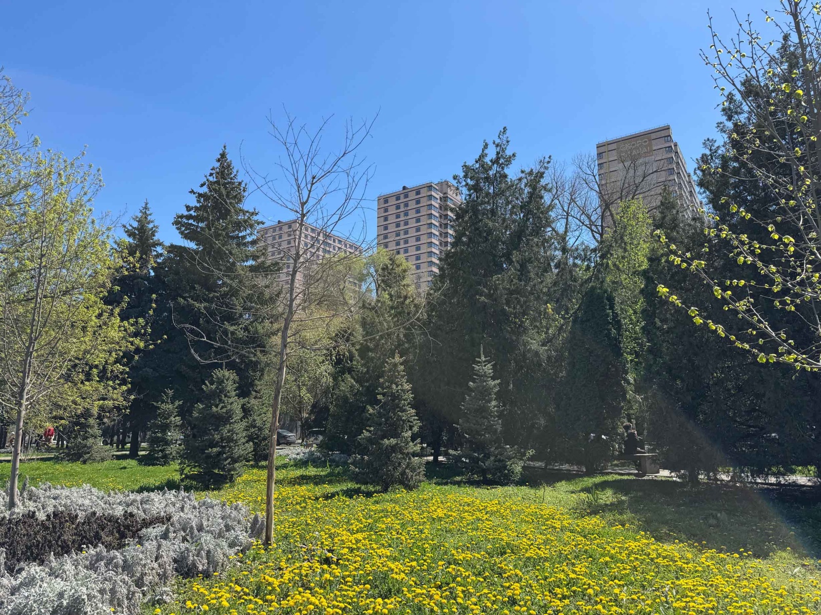 Квартира в центре города